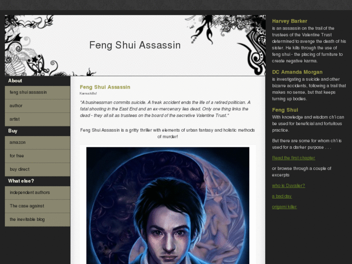 www.fengshuiassassin.com