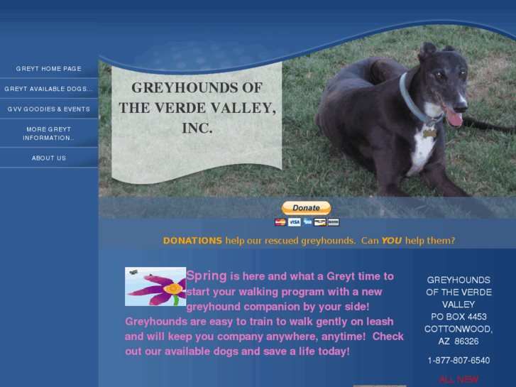 www.greyhoundsverdevalley.com