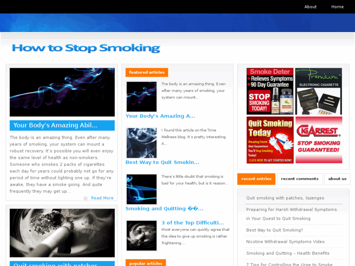 www.how-to-stop-smoking.info