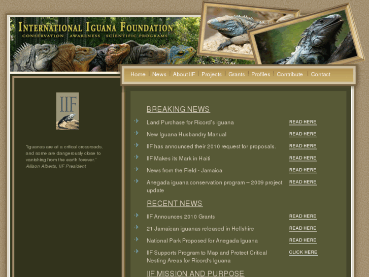 www.iguanafoundation.org