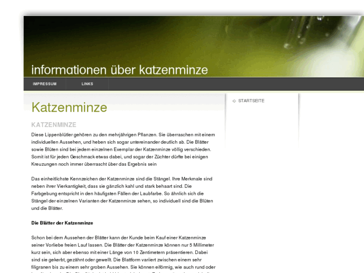 www.katzenminze.com