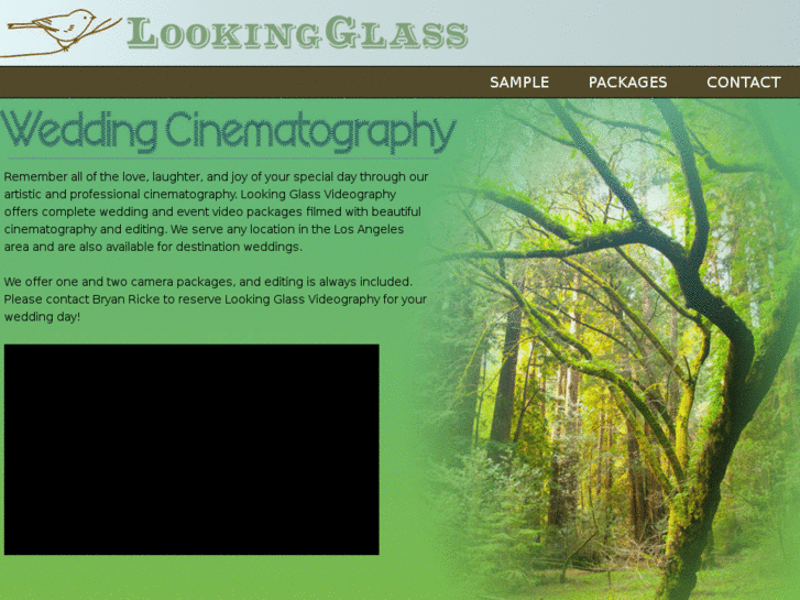 www.lookingglassvideography.com