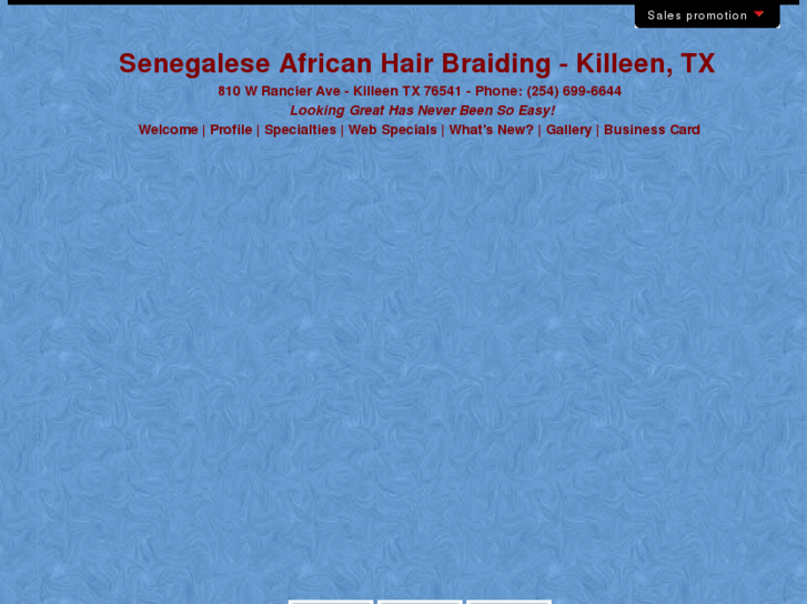 www.senegalesehairbraiding.com