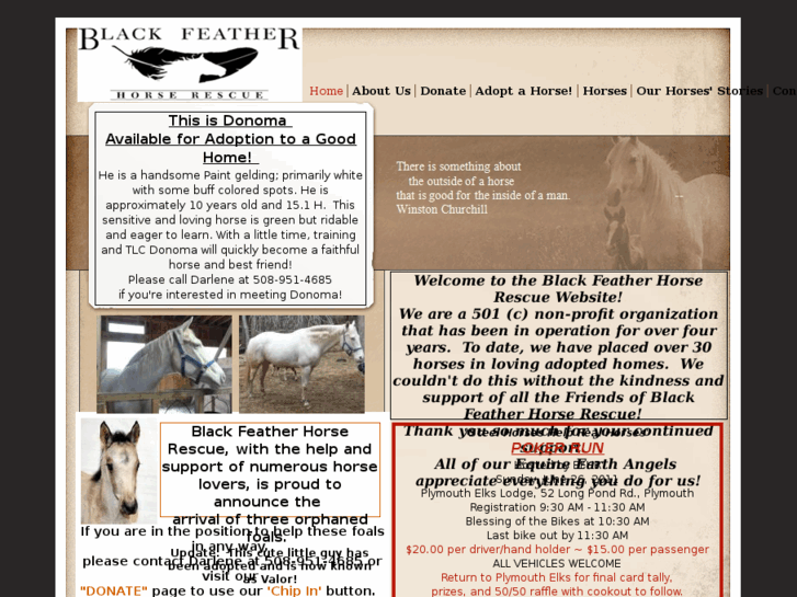 www.blackfeatherhorserescue.org