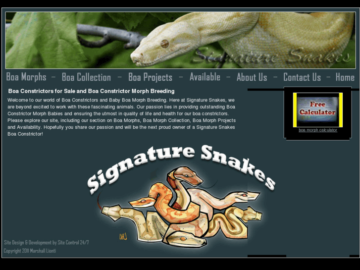 www.boaconstrictorforsale.com