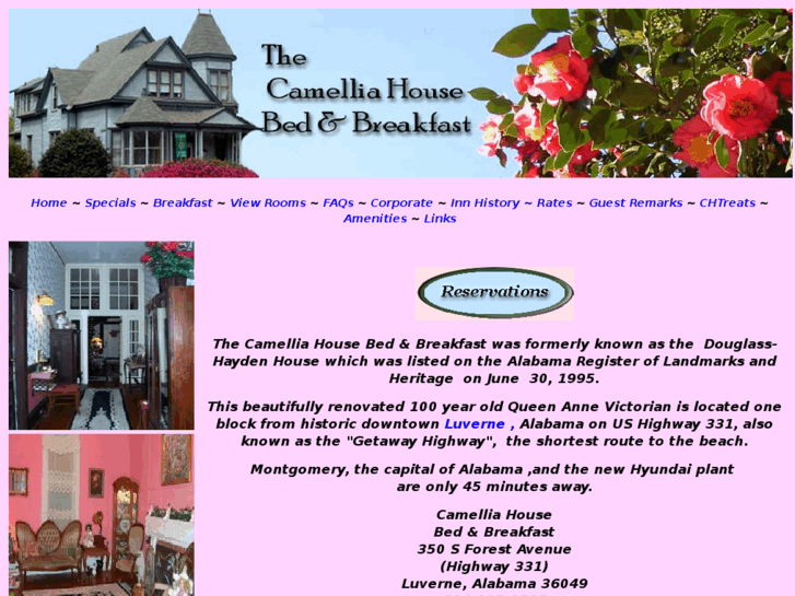 www.camelliahousebnb.com