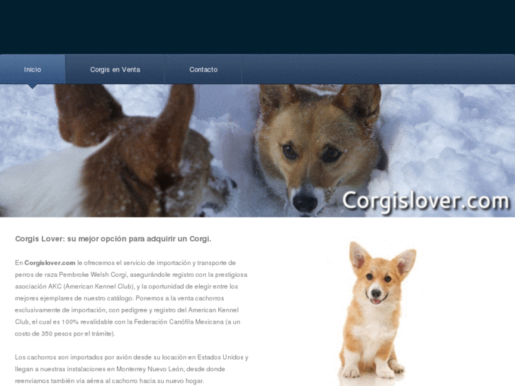 www.corgislover.com