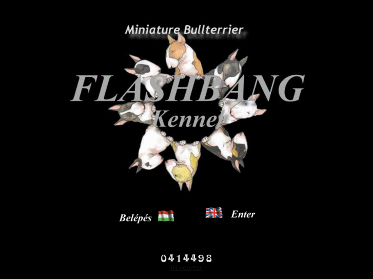 www.flashbangminibull.com