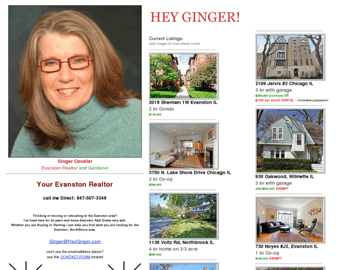 www.heyginger.com