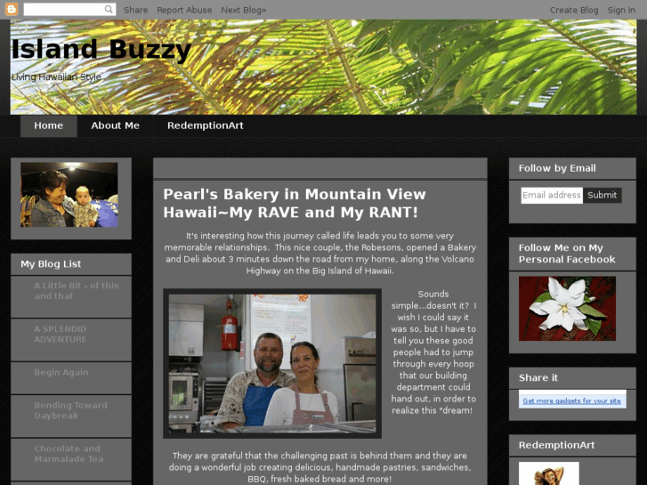 www.islandbuzzy.com