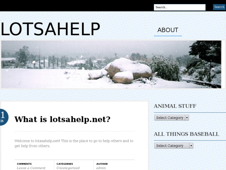 www.lotsahelp.net