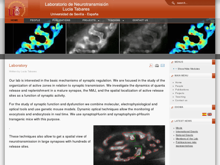 www.ltabareslab.com