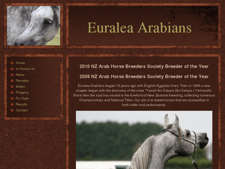 www.nzarabians.com