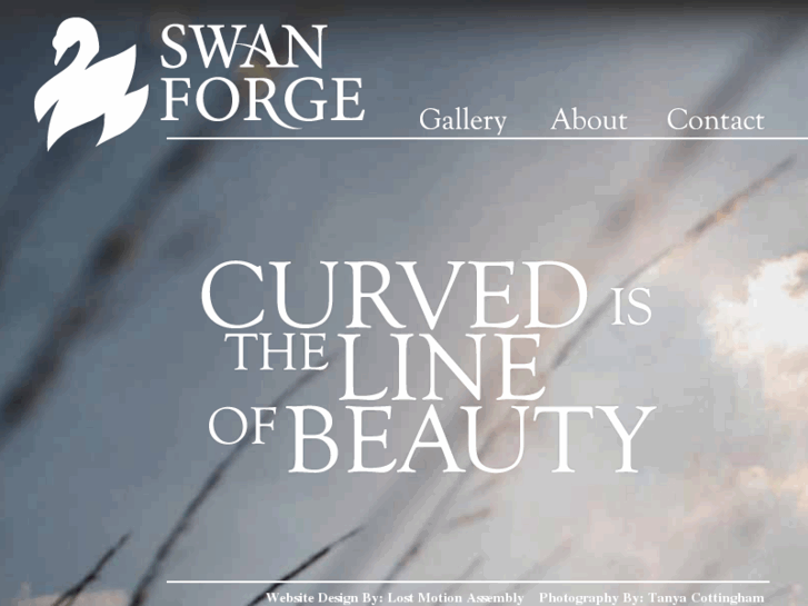 www.swanforge.com