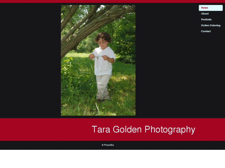 www.taragoldenphotography.com