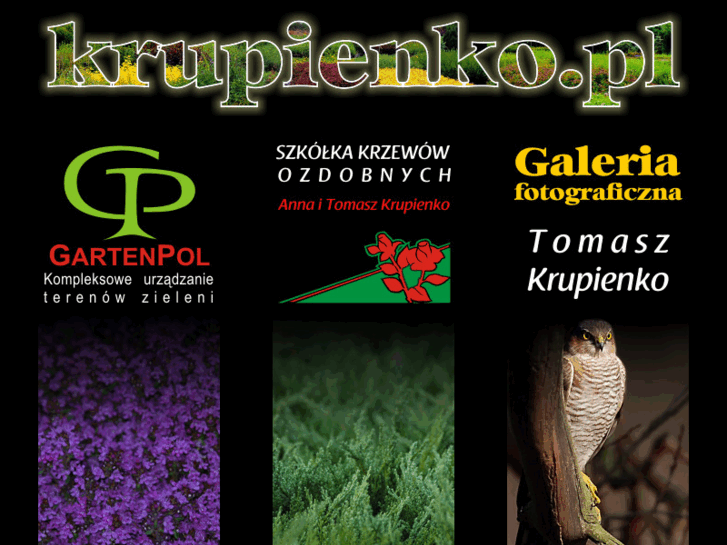 www.krupienko.pl