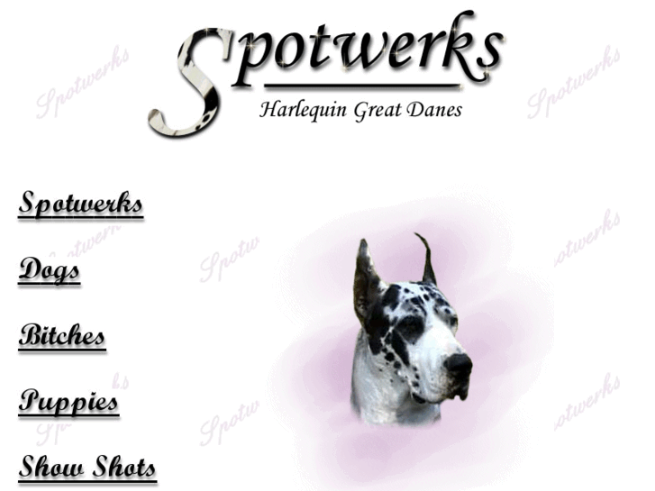 www.spotwerksgreatdanes.com