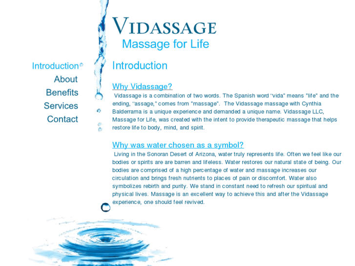 www.vidassage.com