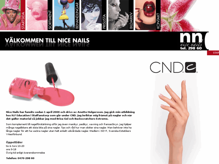 www.nicenailsvaxjo.com