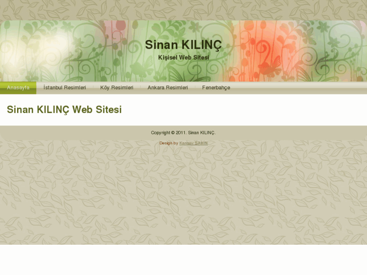 www.sinankilinc.net