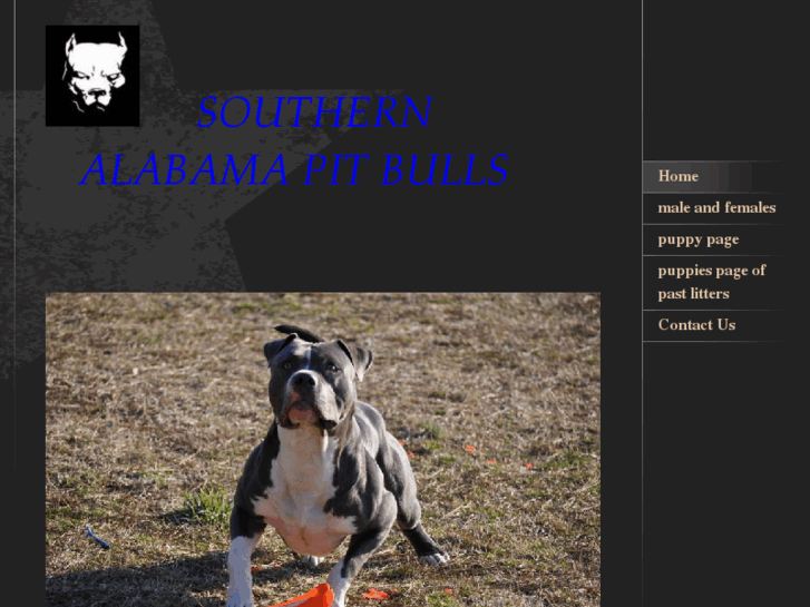 www.southernbluepits.com