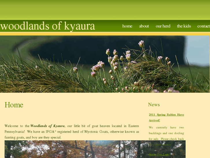 www.woodlandsofkyaura.com