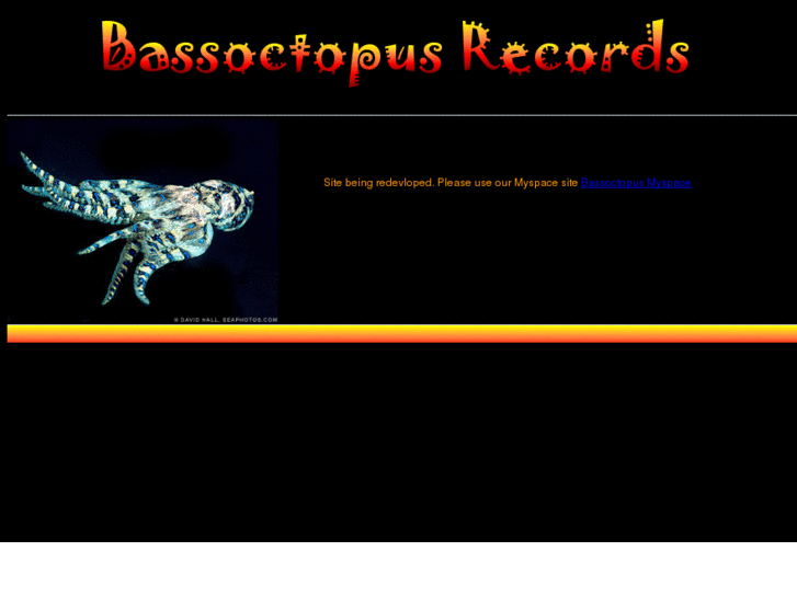 www.bassoctopus.com