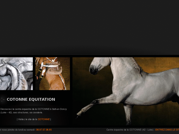 www.cotonne-equitation.com