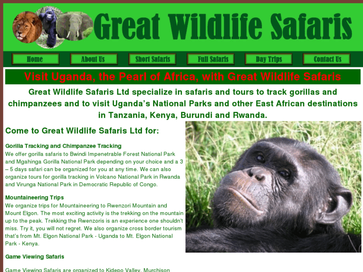 www.greatwildlifesafaris.com