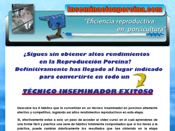 www.inseminacionporcina.com