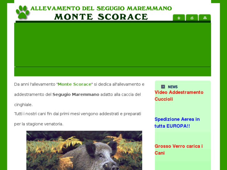 www.segugiomaremmano.info