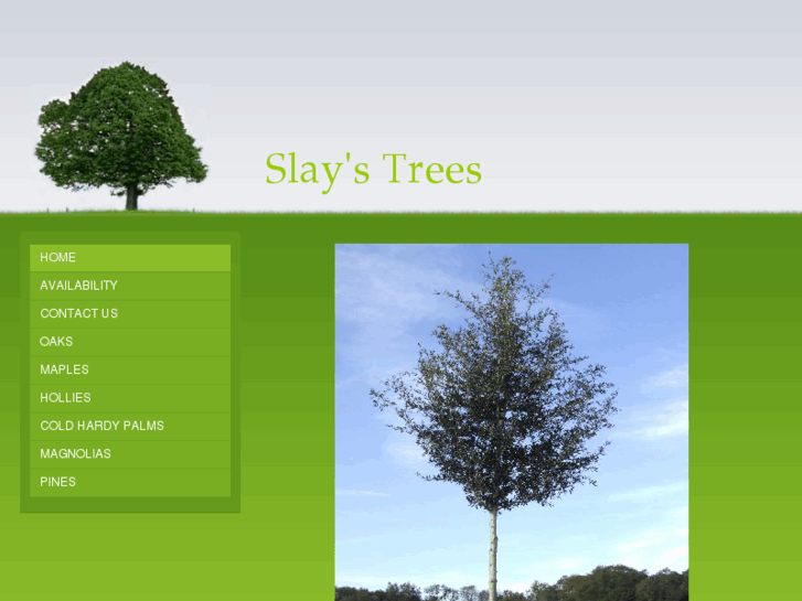 www.slaystrees.com