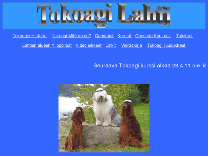 www.tokoagi-lahti.net