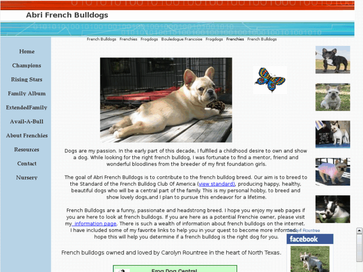 www.abrifrenchbulldogs.com