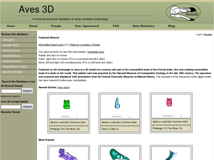 www.aves3d.com