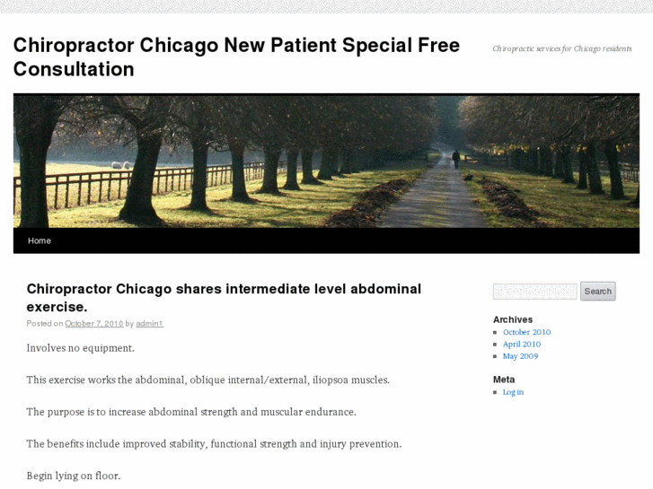 www.chiropractorchicagoil.com