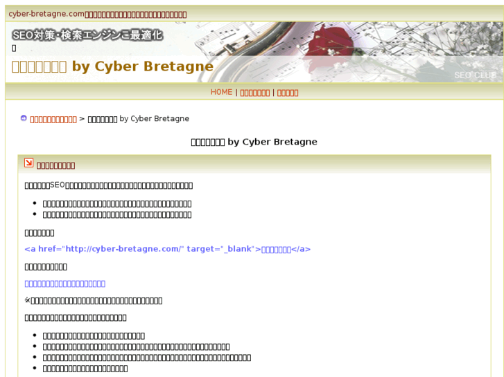 www.cyber-bretagne.com