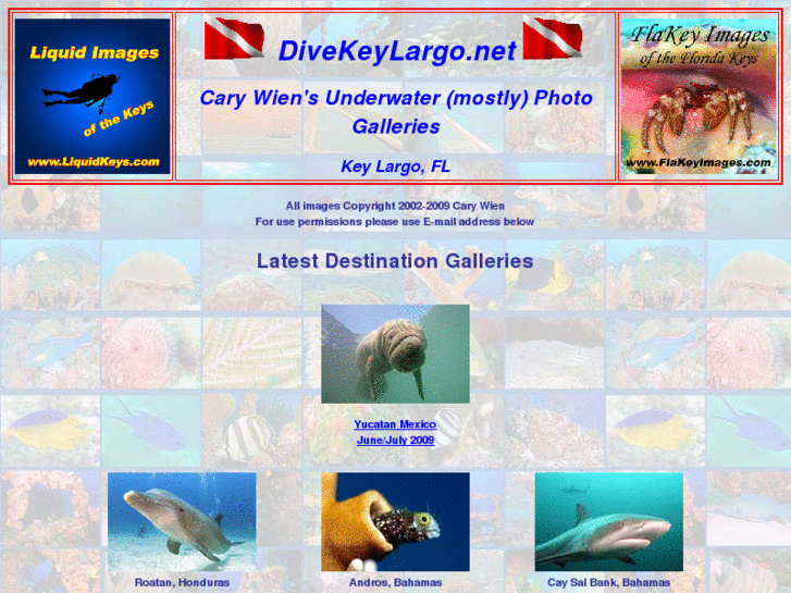 www.divekeylargo.net