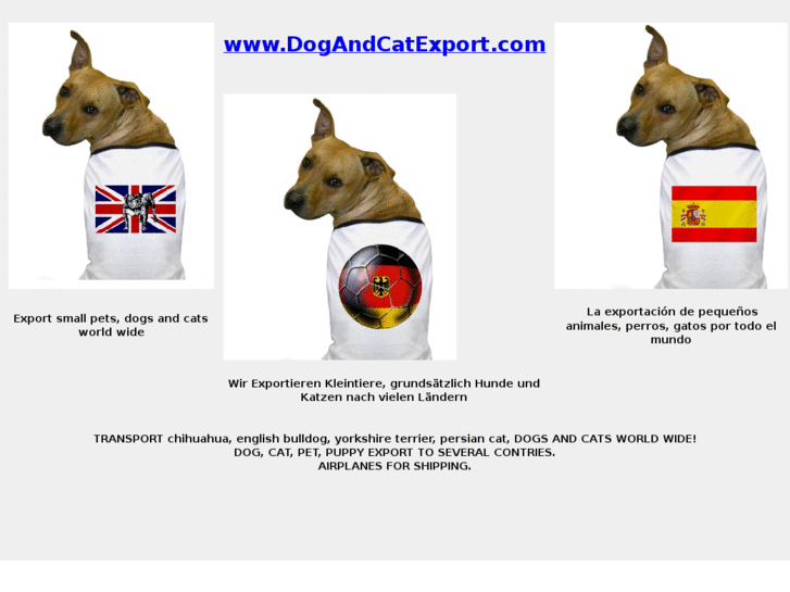 www.dogandcatexport.com