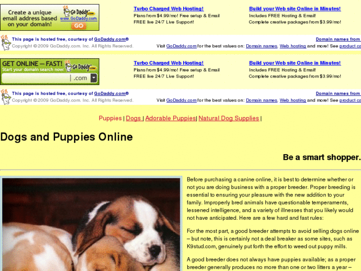 www.dogsandpuppiesonline.org