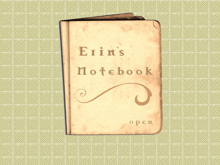 www.erinsnotebook.com