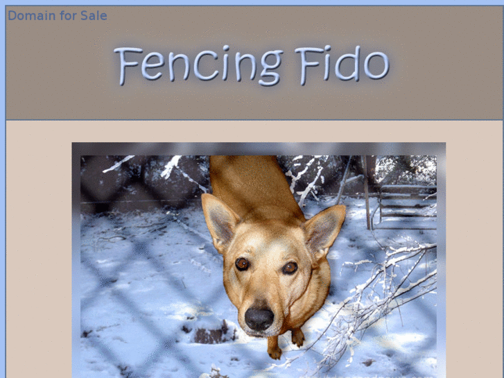 www.fencingfido.com