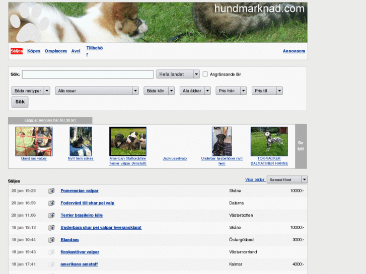 www.hundmarknad.com