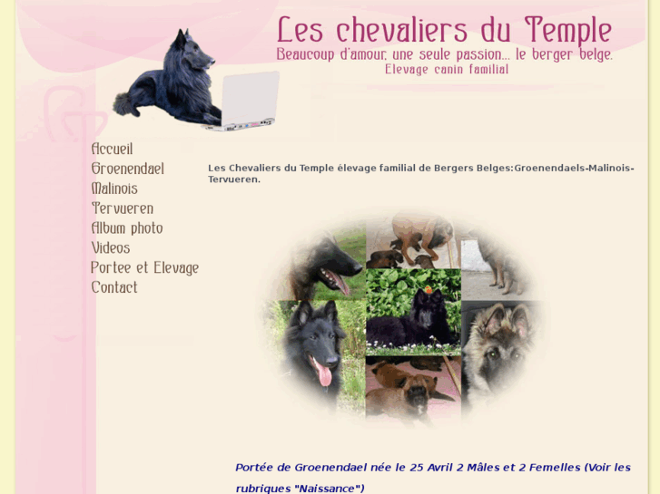 www.leschevaliersdutemple.com