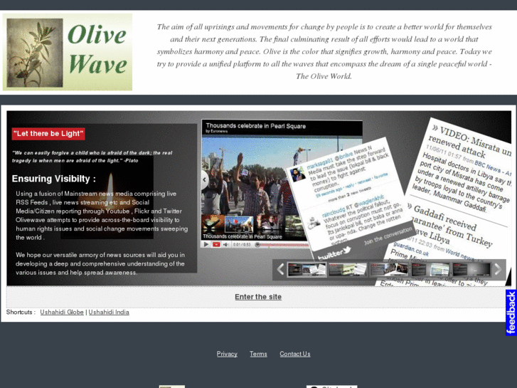 www.olivewave.com