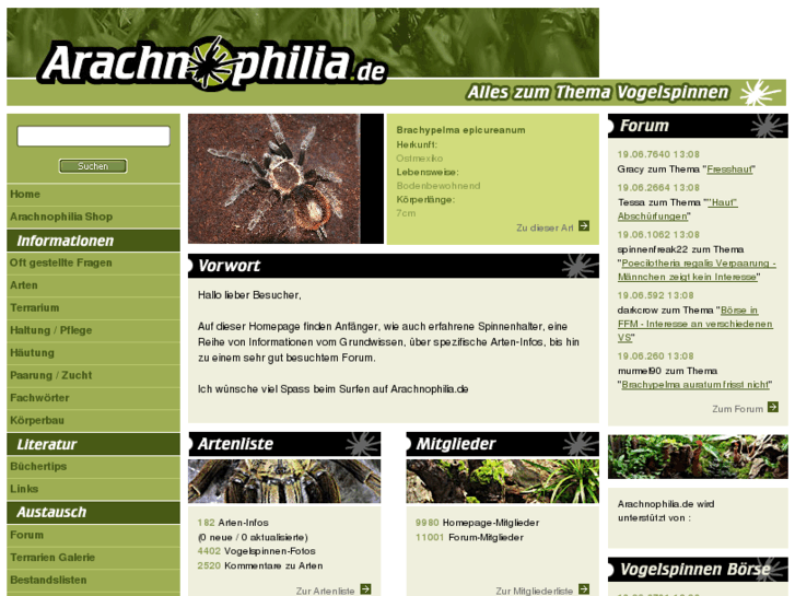 www.arachnophilia.de