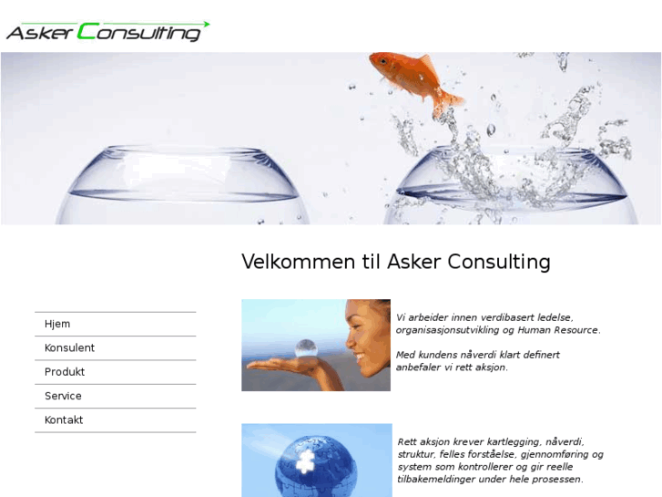 www.askerconsulting.no