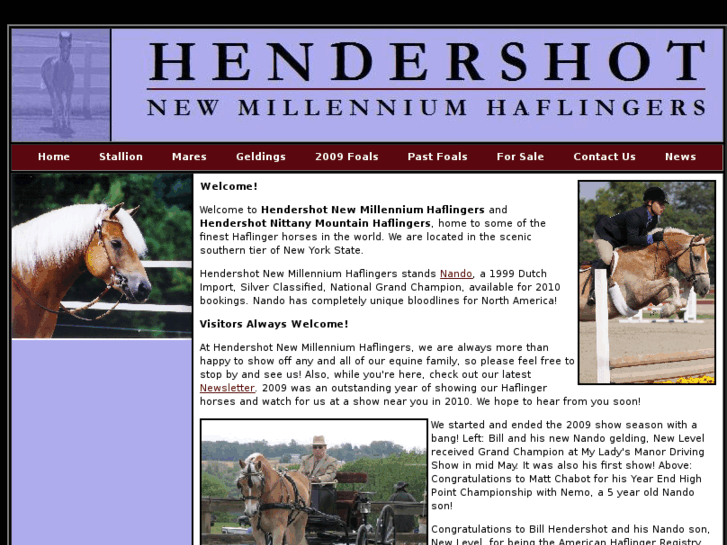 www.hendershothaflinger.com