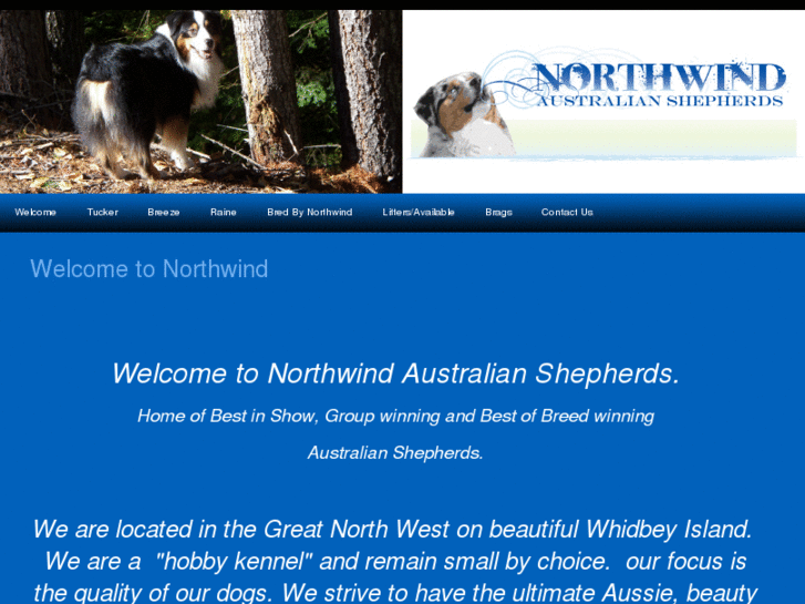 www.northwindaussies.com