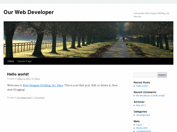www.ourwebdeveloper.com